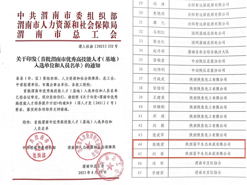 喜報！富平公司2人榮獲首批“渭南市技術(shù)能手”稱號